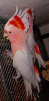 /album/fotogaleria/img-0020-jpg/