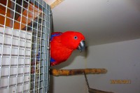 /album/fotogaleria/img-0010-jpg/