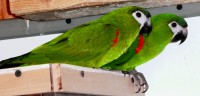 /album/fotogaleria/a110-jpg/