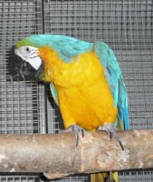 /album/fotogaleria/a254-jpg1/