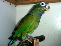 /album/fotogaleria/a032-jpg/